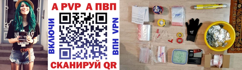 A PVP СК КРИС  Магадан 