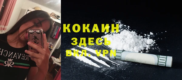 стаф Мурманск