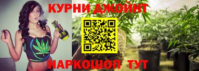 mdpv Кимры