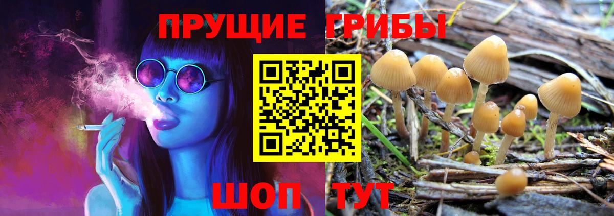 что такое   Галлюциногенные грибы ЛСД  Вход с VPN  Магадан 